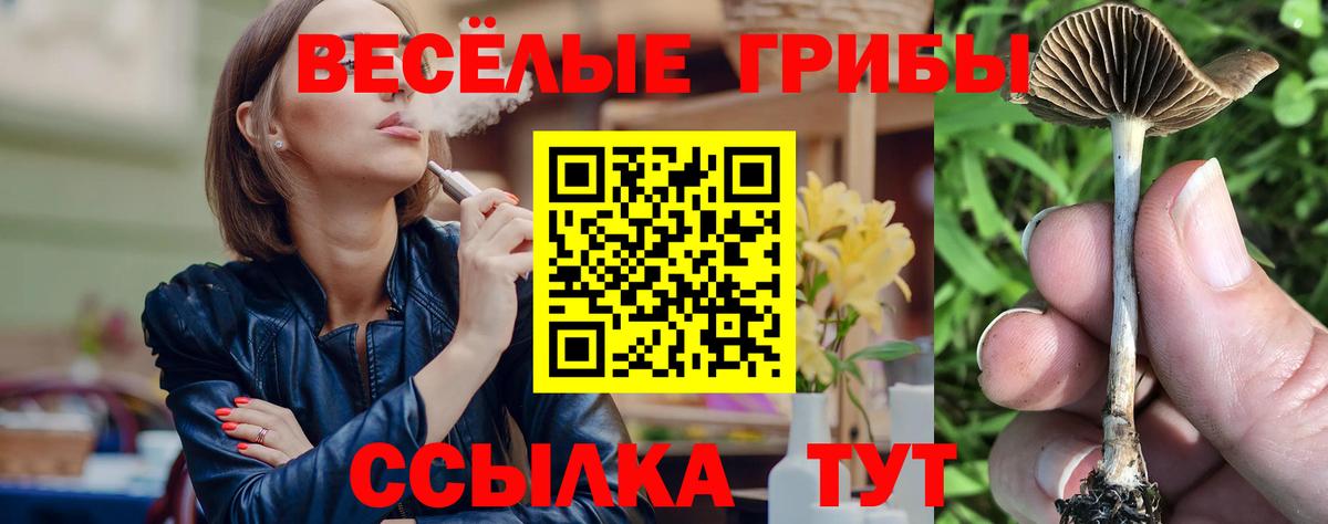 Псилоцибиновые грибы ЛСД  где продают   Будённовск  Вход с VPN 